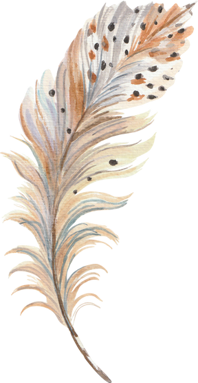 Watercolour Feather